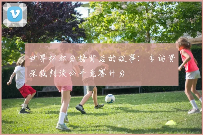 世界杯积分榜背后的故事：专访资深裁判谈公平竞赛计分