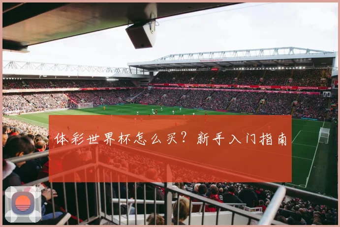 体彩世界杯怎么买？新手入门指南