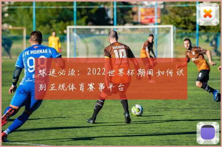 球迷必读：2022世界杯期间如何识别正规体育赛事平台