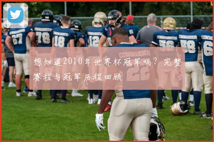 想知道2010年世界杯冠军吗?完整赛程与冠军历程回顾