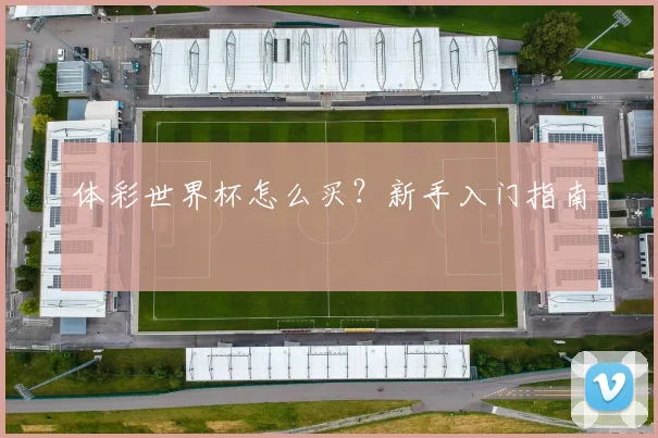 体彩世界杯怎么买？新手入门指南