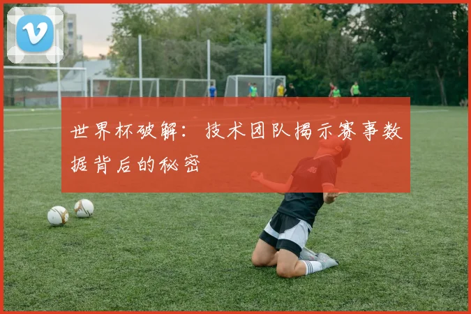 世界杯破解：技术团队揭示赛事数据背后的秘密