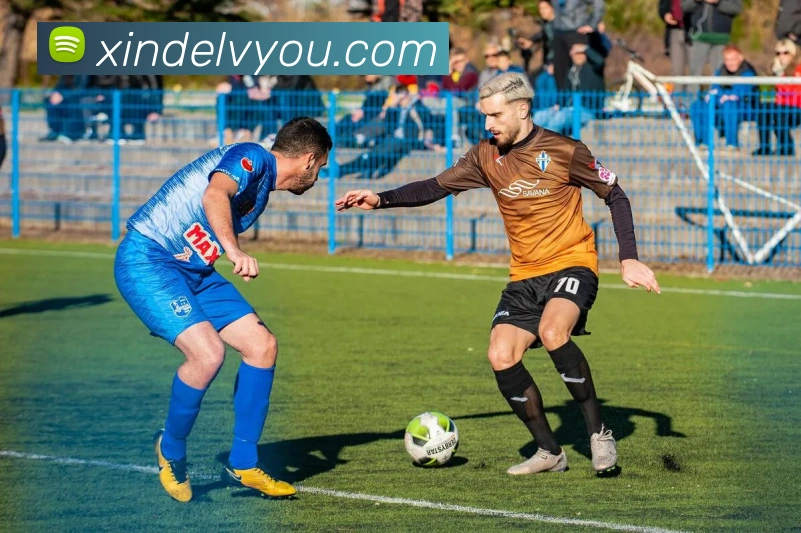 mksports在线登录入口平台生态图
