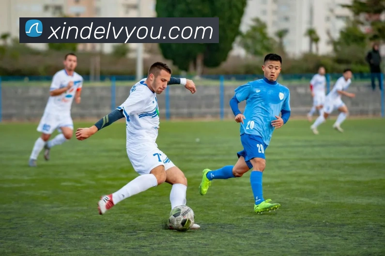 mksports官方网站APP 封面图