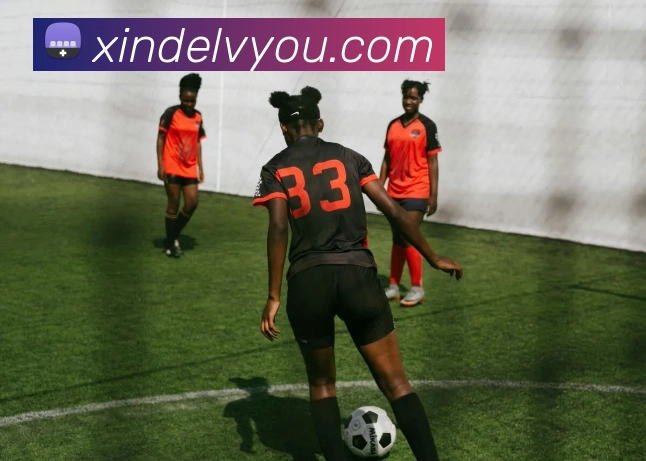 mksports在线登录入口全站App
